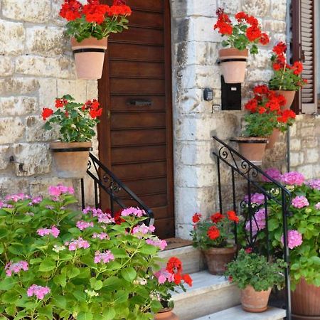 Casa Gentile Apartment Assisi Exterior photo
